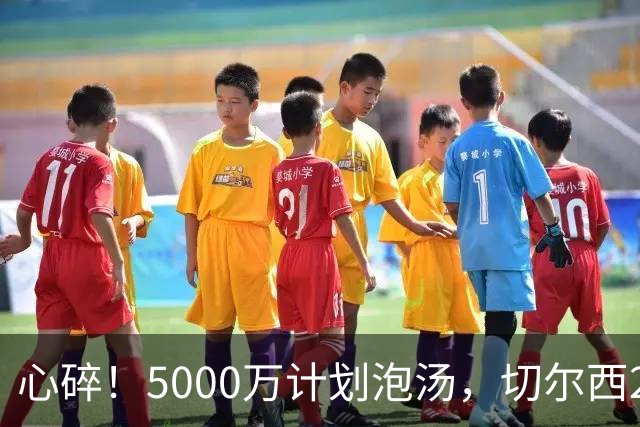 心碎！5000万计划泡汤，切尔西24小时截胡新星，国米马洛塔真束手无策？